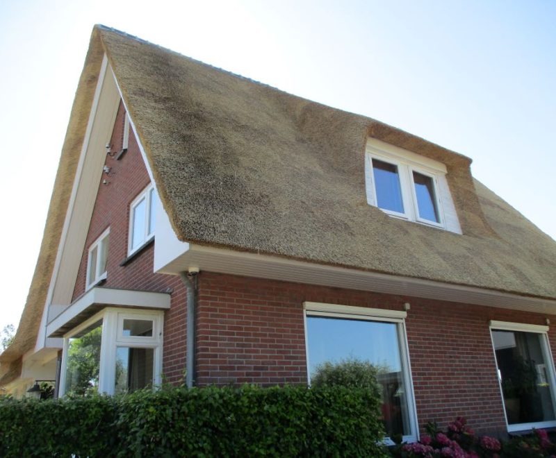 pannen-riet bergambacht 1