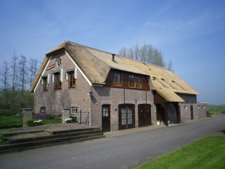 Rieten dak in lekkerkerk