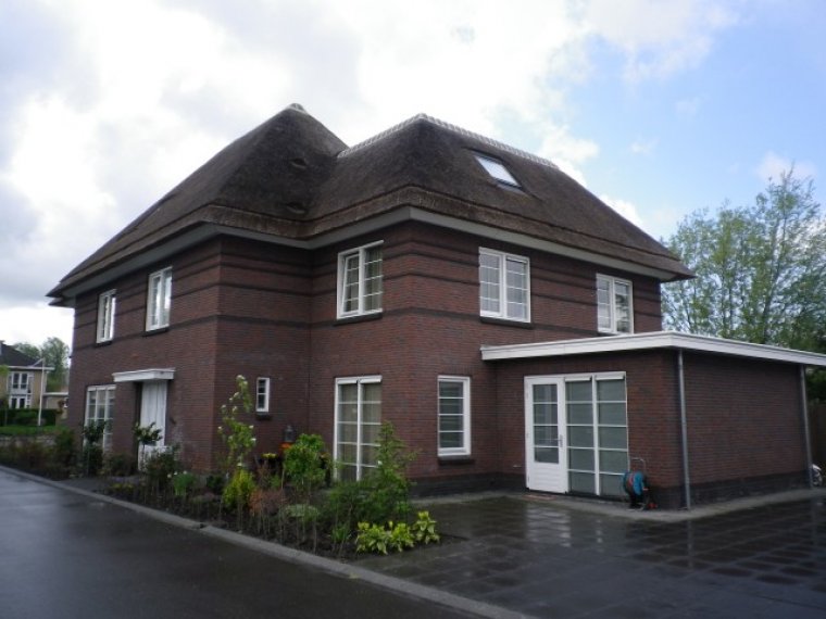Villa’s met rieten kap in Rotterdam