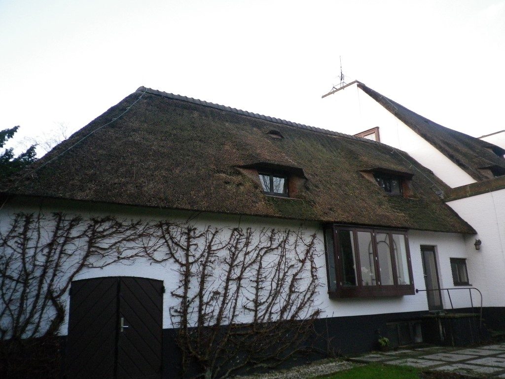 Onderhoud rieten dak in Rotterdam