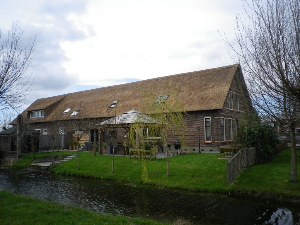 Onderhoud aan een rieten dak