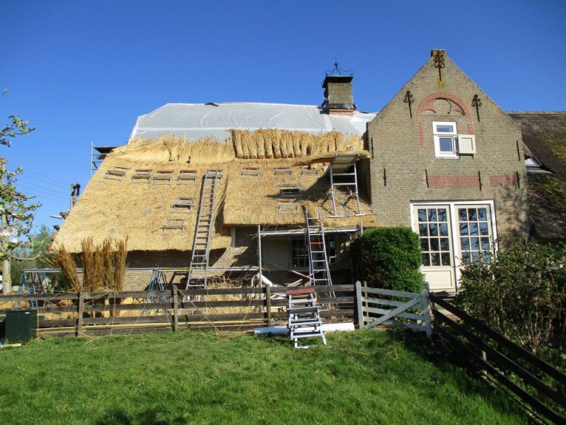 Reparatie rieten daken