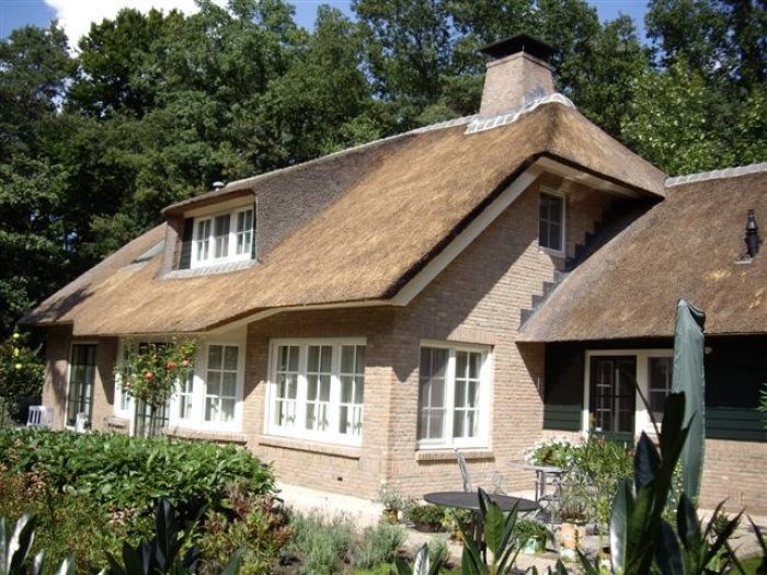 Onderhoud rieten dak