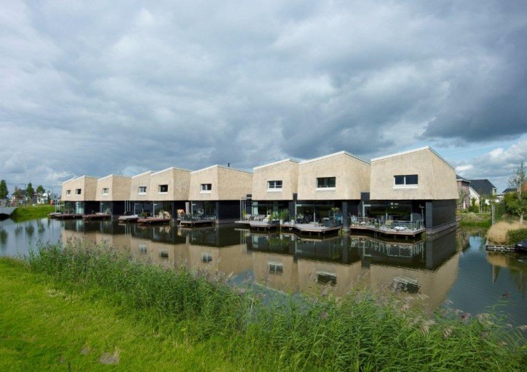 Rieten Gevel in Rotterdam